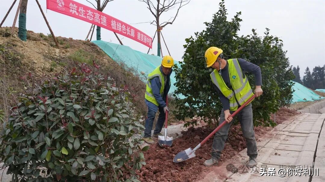 高速建设_利咸高速绿化工程_利咸高速施工进度