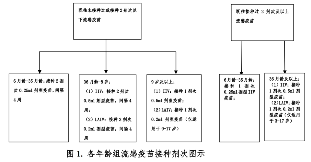 新冠疫苗加强针接种_流感疫苗接种指南_疫情疫苗